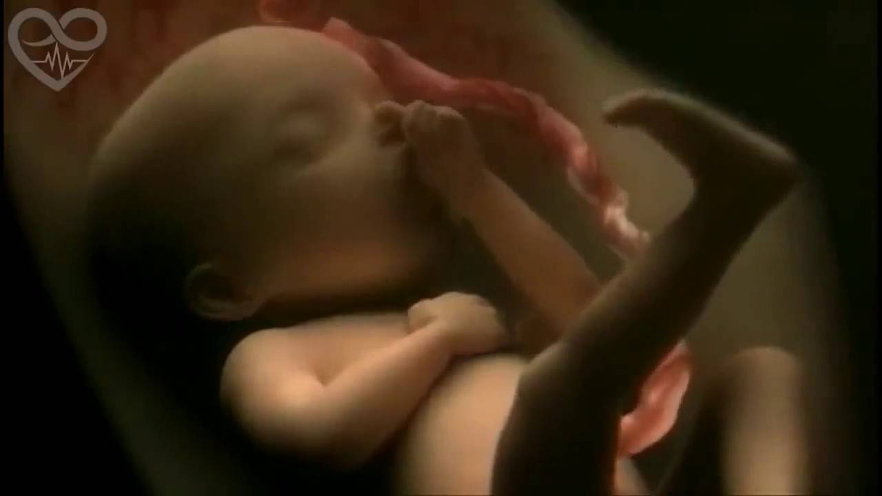 Может ли ребенок плакать, будучи еще в утробе матери? да. интересные выводы ученых