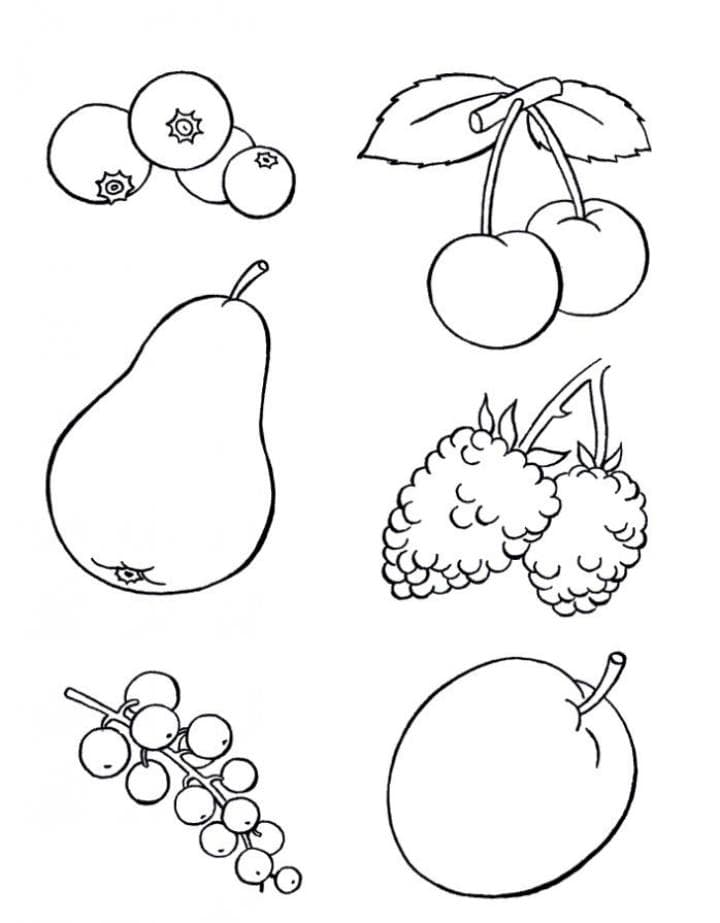 Нод по изобразительной деятельности «фрукты в разрезе» для детей 6–7 лет