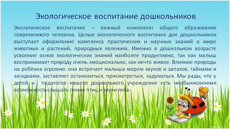 Как привить ребенку любовь к окружающему миру.