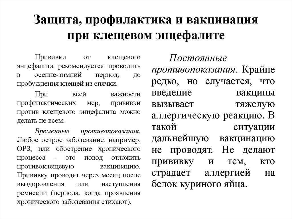 Ускоренная схема вакцинации против клещевого энцефалита