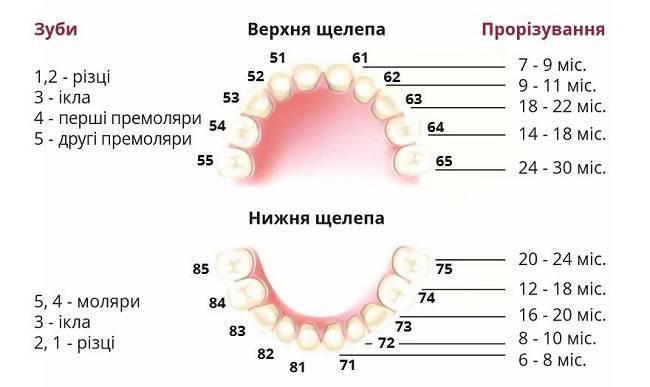Неровные, волнистые или желтые зубы у детей: что делать