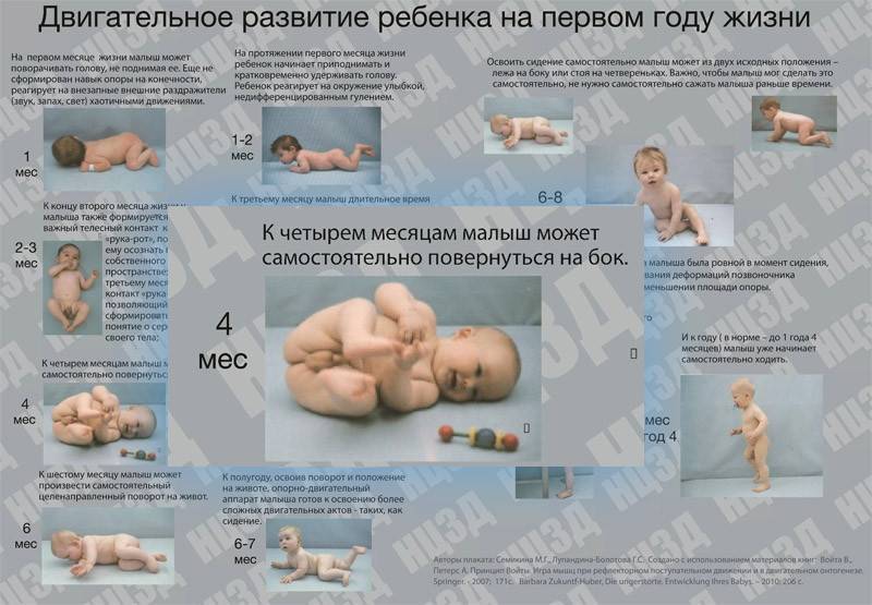 Здоровье ребенка от 6 месяцев до 1 года