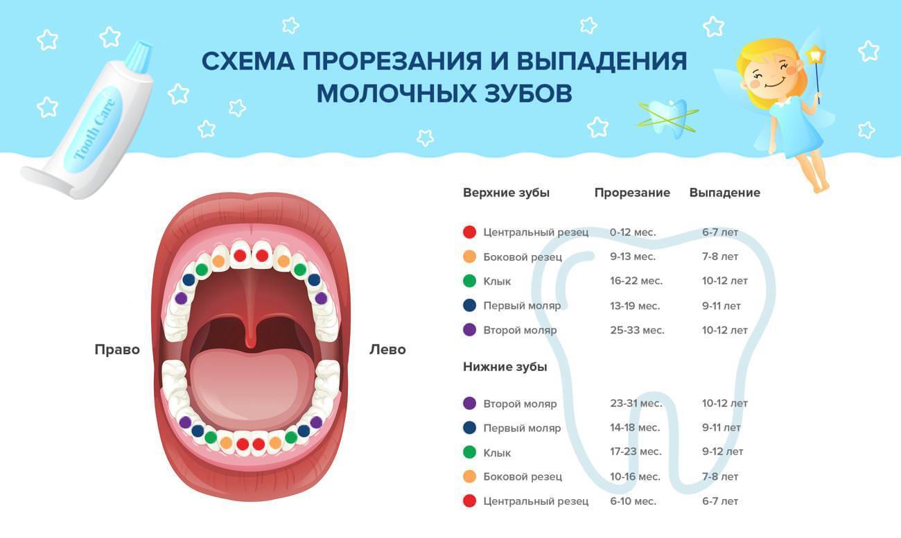 Выпадение молочных зубов