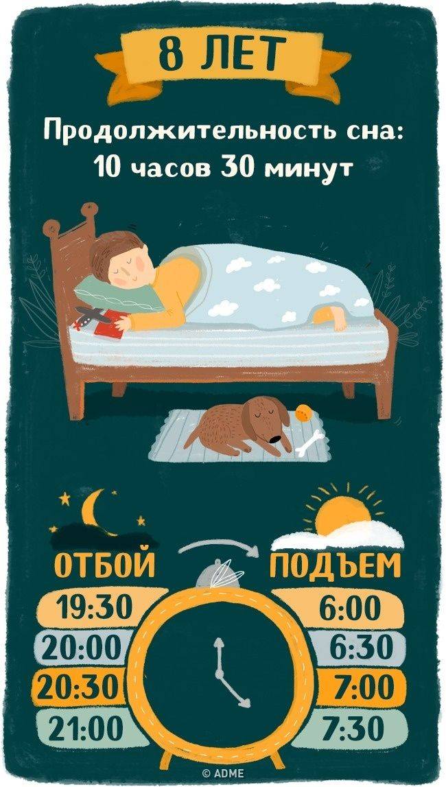 Сколько «должен» спать ребенок?