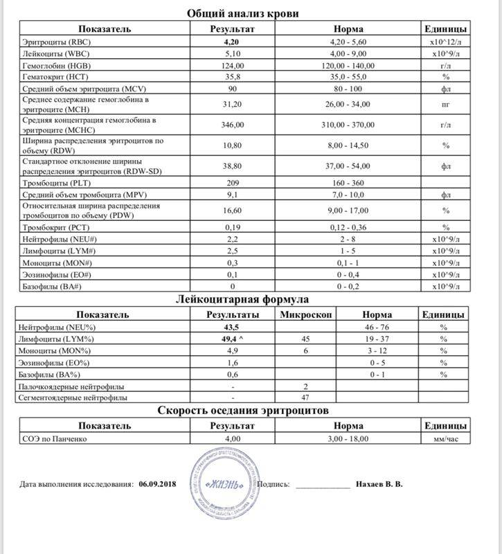 Оак норма образец