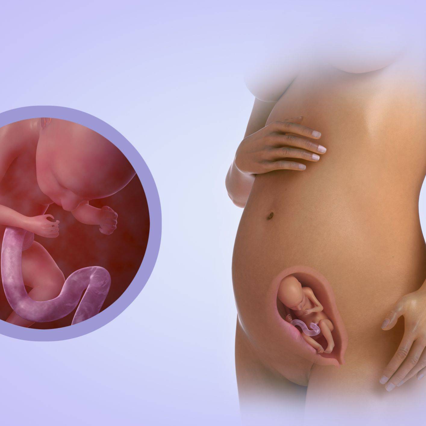 Первые шевеления плода при беременности: ощущения будущей мамы