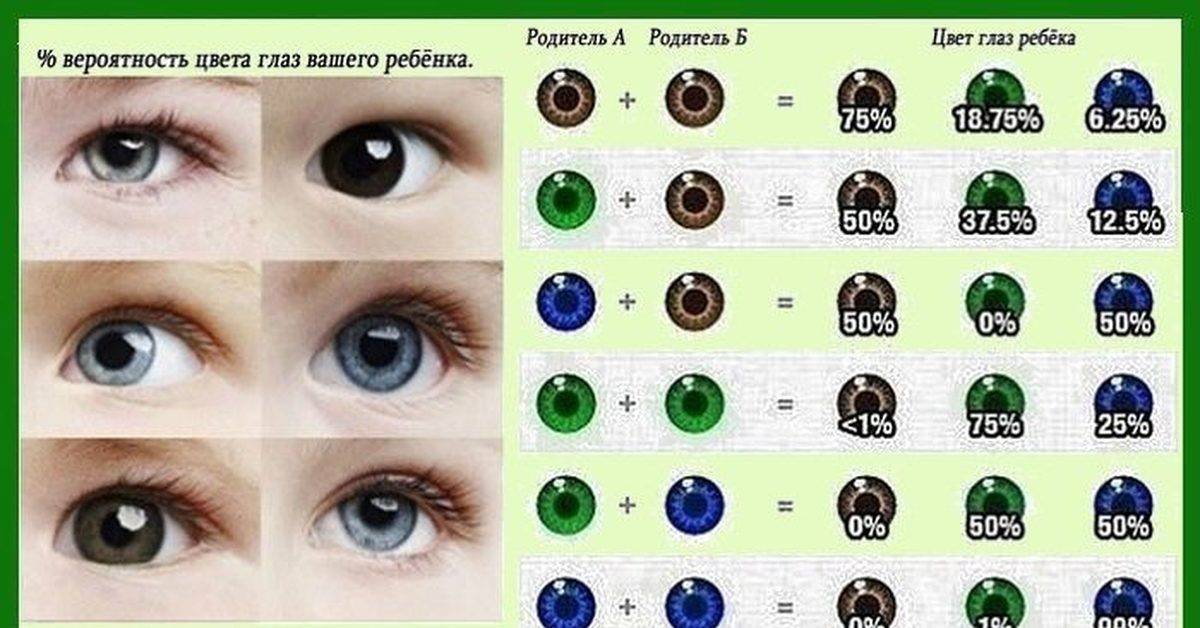 Когда меняется цвет глаз у новорожденных: какого они цвета у маленьких детей?