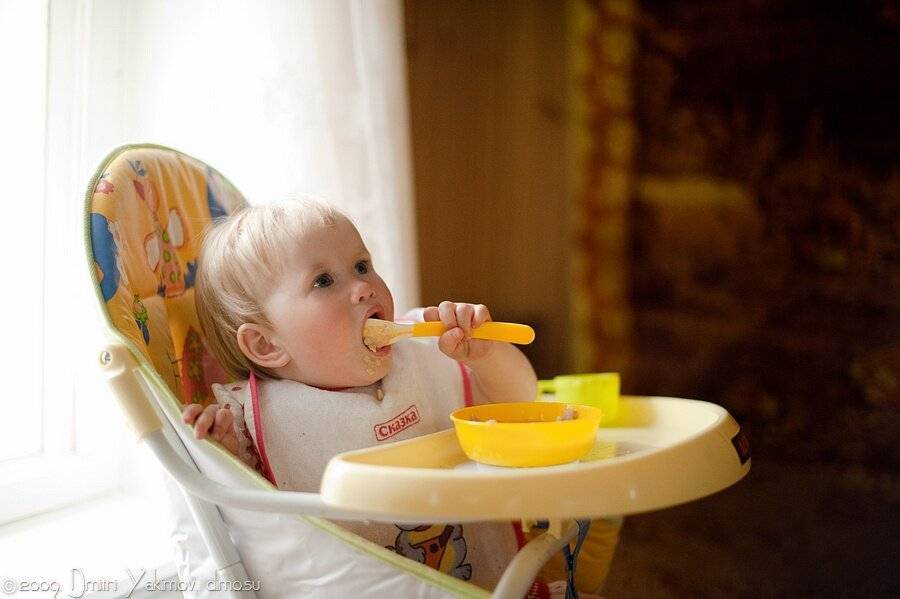 Ребенок не жует в 1-1.5, 2 года: что делать, как научить ребенка жевать и глотать твердую пищу? жевательный рефлекс у ребенка: доктор комаровский