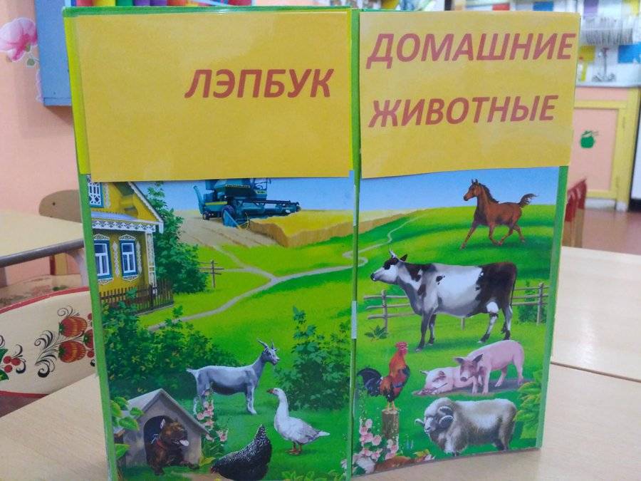 Лэпбук своими руками для детского сада. лэпбук «времена года» для дошкольников: как сделать своими руками