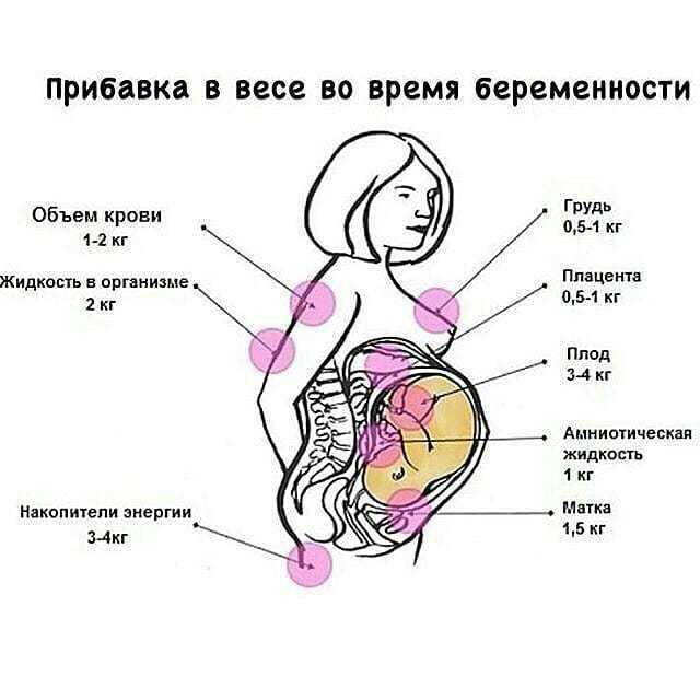 Нормы набора веса при беременности – существуют ли они и как их не превышать