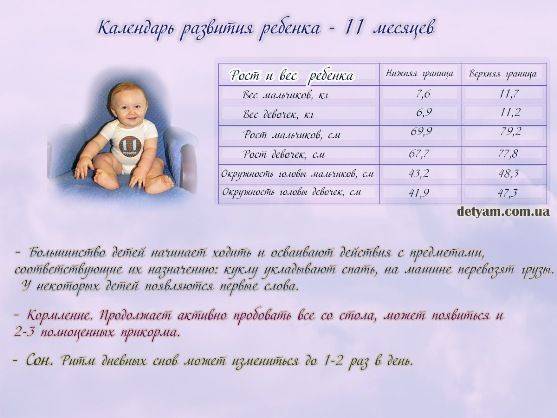 Ребенку 11 месяцев: развитие, питание, вес и рост, уход за малышом