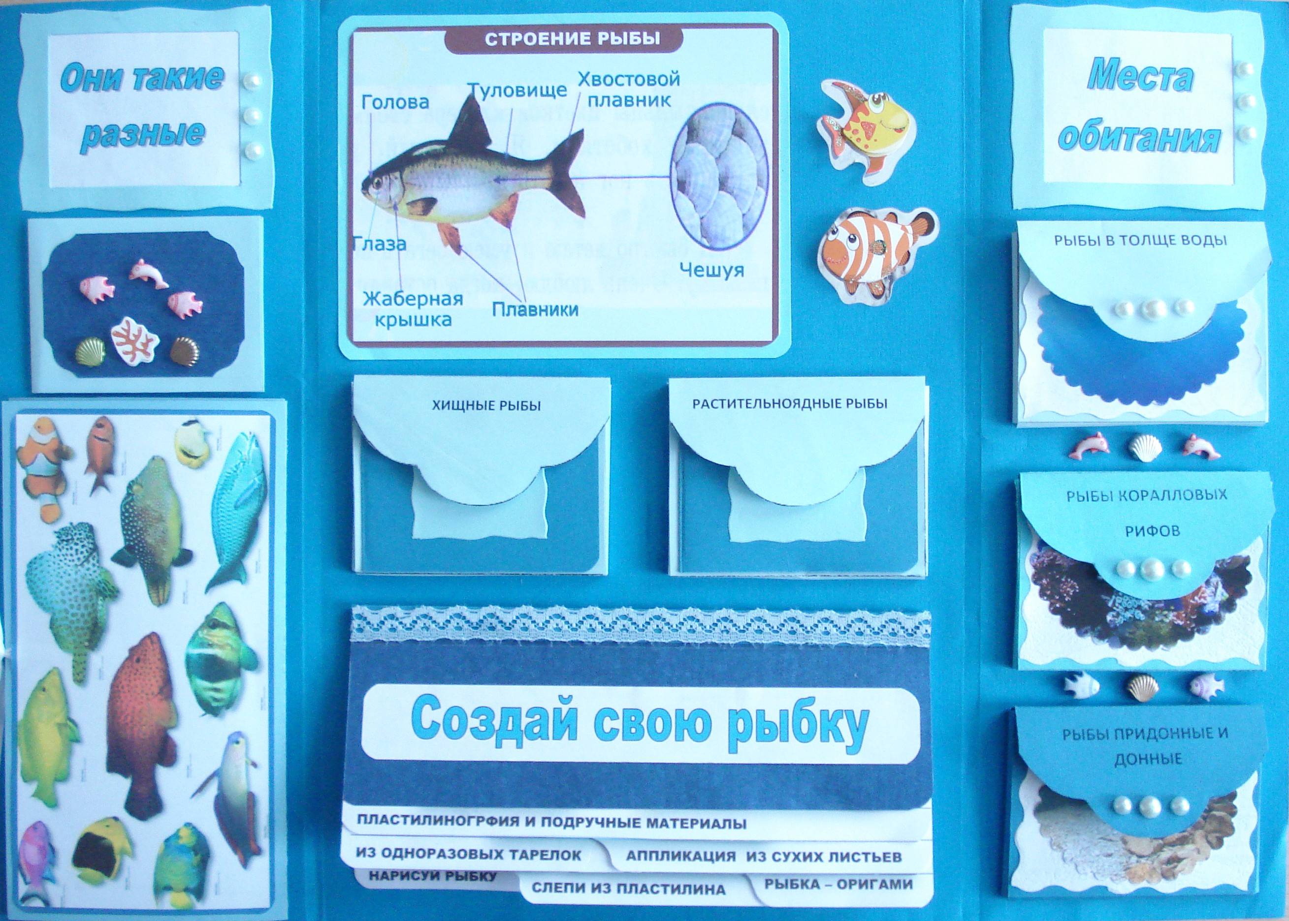 Лэпбук своими руками: готовые шаблоны для распечатывания