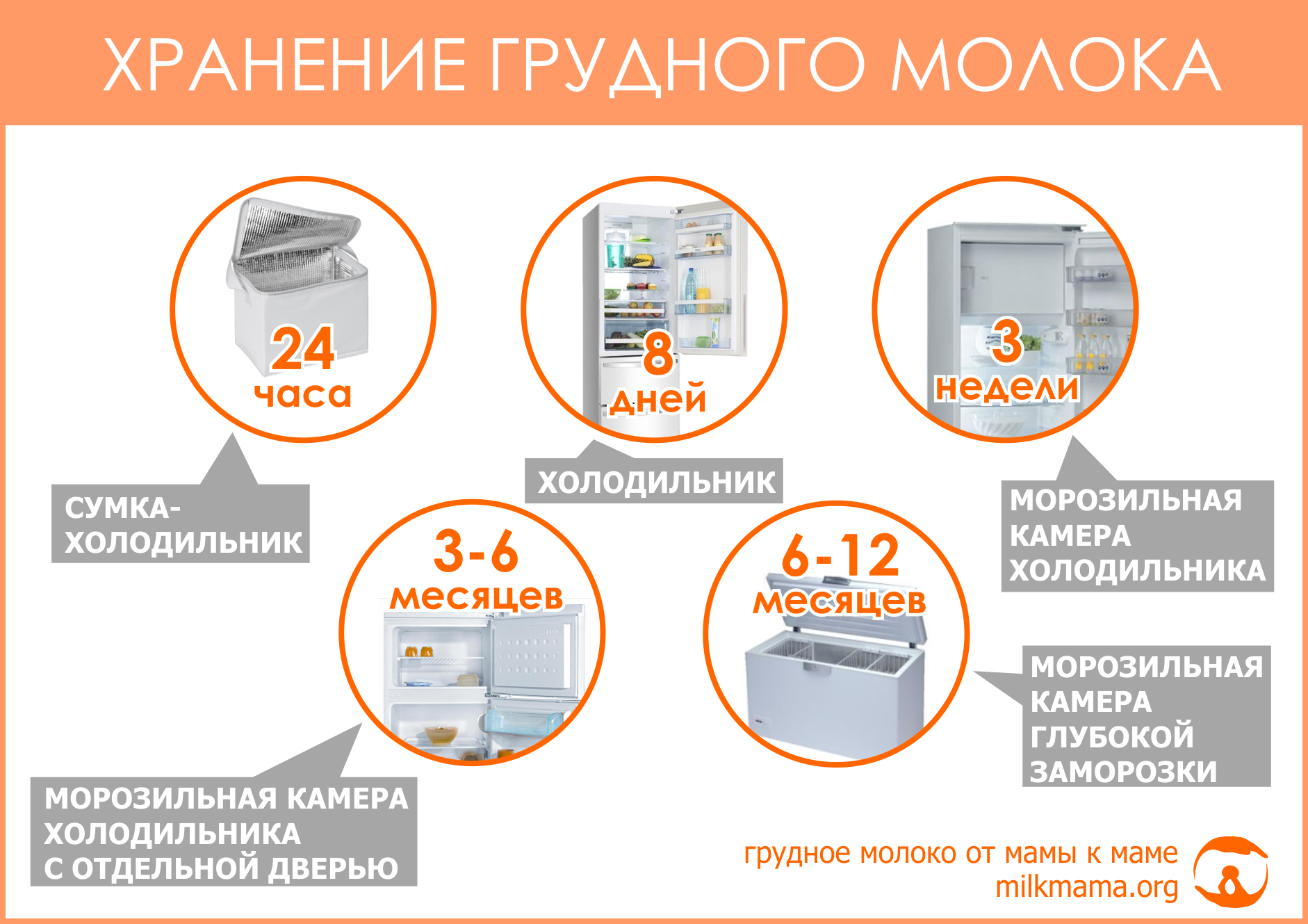Сколько хранится сцеженное грудное молоко при комнатной температуре?