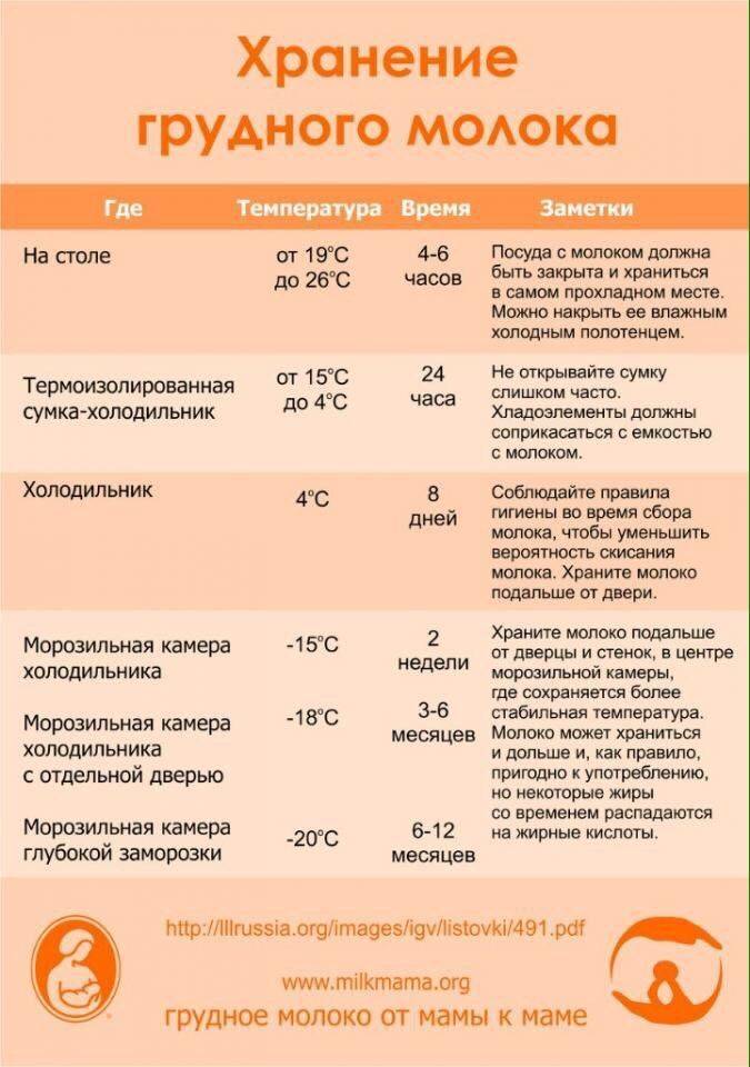 Хранение грудного молока. как правильно и сколько хранить сцеженное грудное молоко в бутылочке в холодильнике и морозилке?
