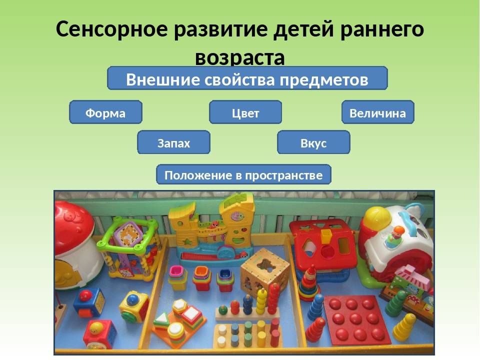 Сенсорное воспитание детей