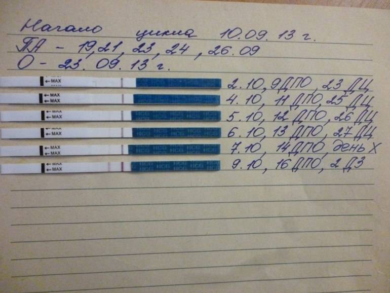 Как определить беременность?