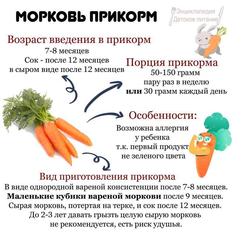Пюре и суп-пюре из моркови для грудничка: лучшие рецепты. морковное пюре для грудничка: с какого возраста можно давать? сколько морковного пюре и как часто можно давать грудничку? сколько варить морко