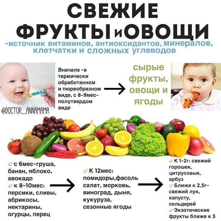 Можно ли детям до года давать арбуз и дыню: оптимальный возраст для введения фруктов в рацион малыша