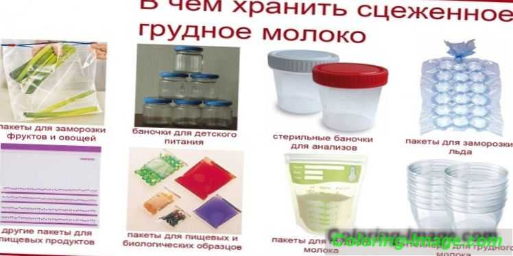 Важно знать! сколько хранится грудное молоко в холодильнике и при комнатной температуре