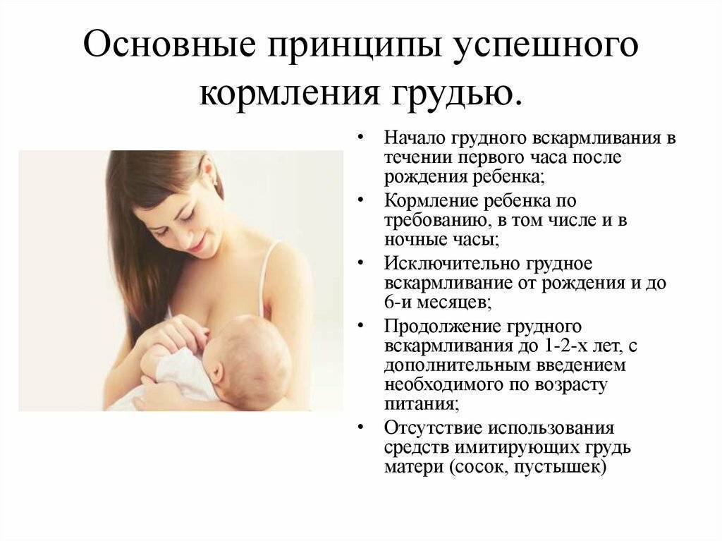 Правила грудного вскармливания новорожденного ребенка с первых дней жизни