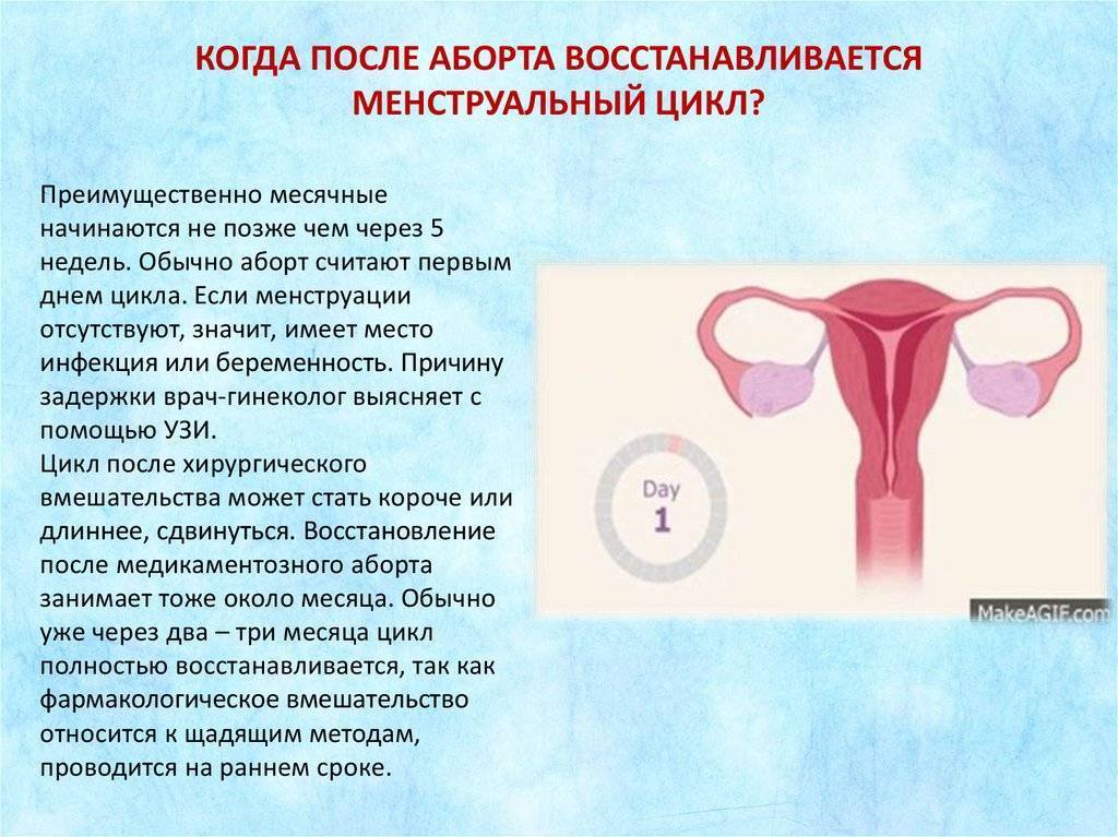 Месячные после выскабливания матки: когда пойдут, почему может быть задержка менструации?