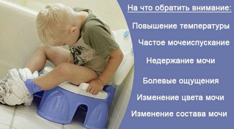Новорожденный мальчик плачет перед мочеиспусканием комаровский