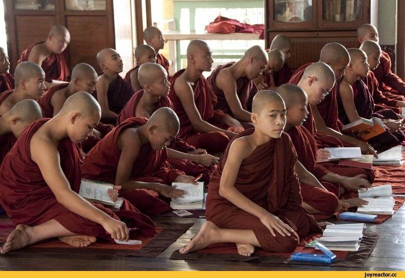 Как воспитать ребенка в тибетских традициях? основные правила и народная мудрость
