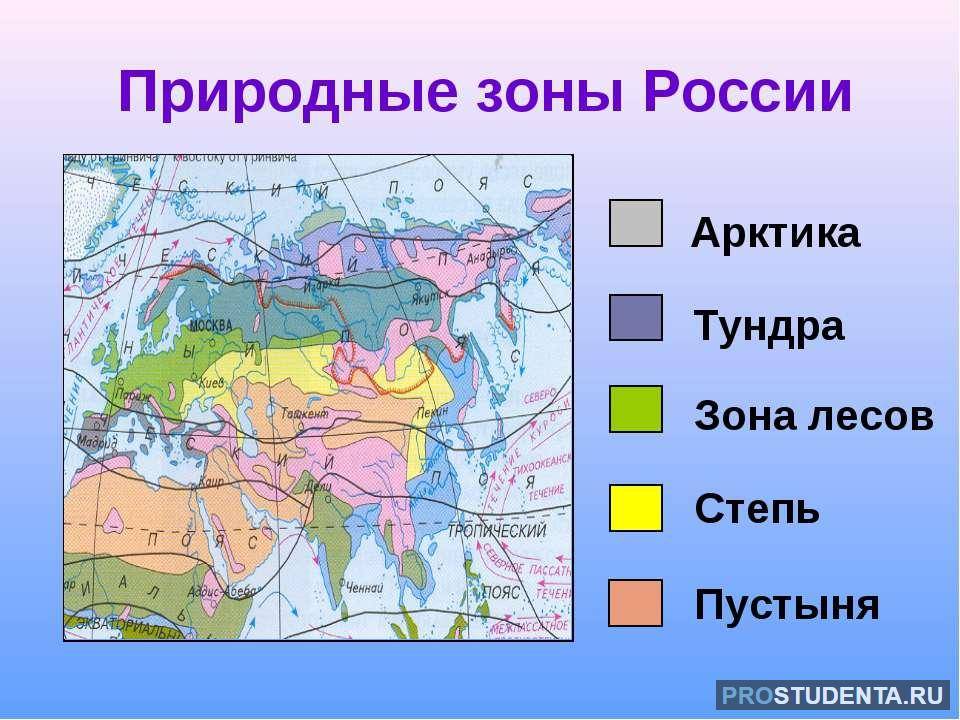 § 23. природные зоны россии