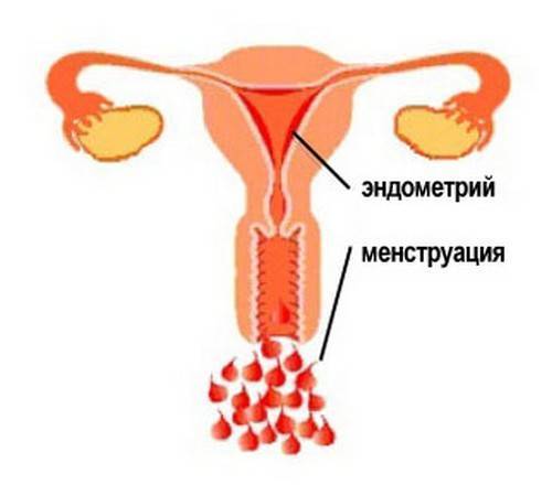 Перепады настроения во время менструации * клиника диана в санкт-петербурге