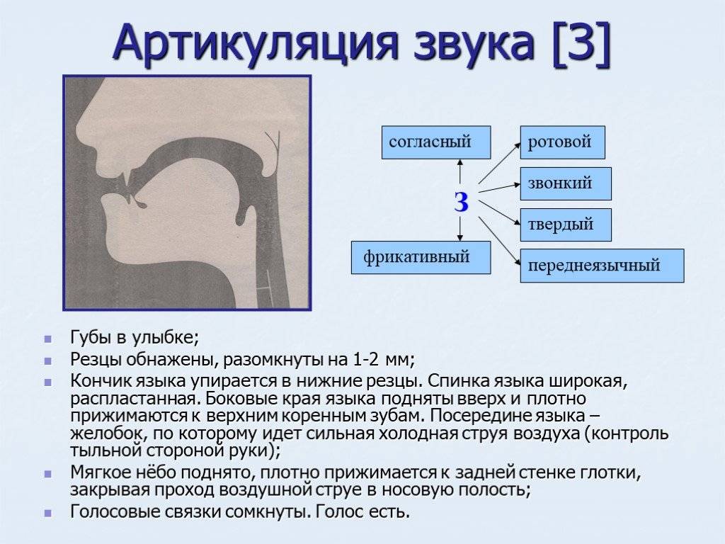 Как научить ребенка выговаривать звуки дома? упражнения на тренировку сложных звуков - воспитание и обучение детей  - родителям - образование, воспитание и обучение - сообщество взаимопомощи учителей педсовет.su