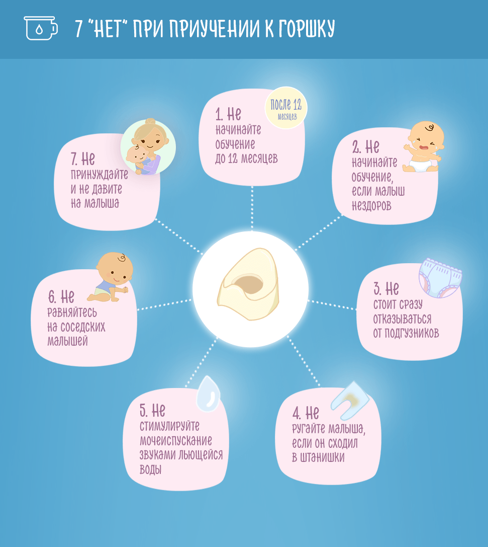 Как приучить ребенка к горшку в 1 год: эффективные методы и мнение комаровского