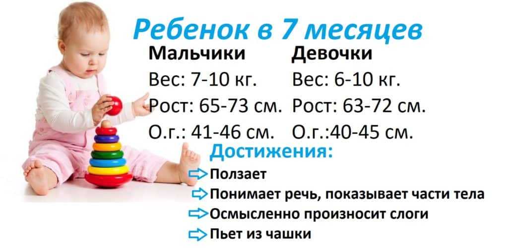 Уход за ребенком в 7 месяцев. Что должен уметь ребёнок в 7 месяцев. 7 Месяцев ребенку развитие. Ребёнок в 7 месяцев что долден уметь. Что должен уметь ребёнок в 7 месяцев мальчик.