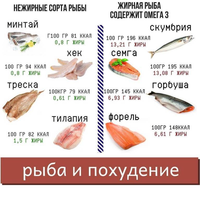 Когда можно давать рыбу ребенку – heinz baby