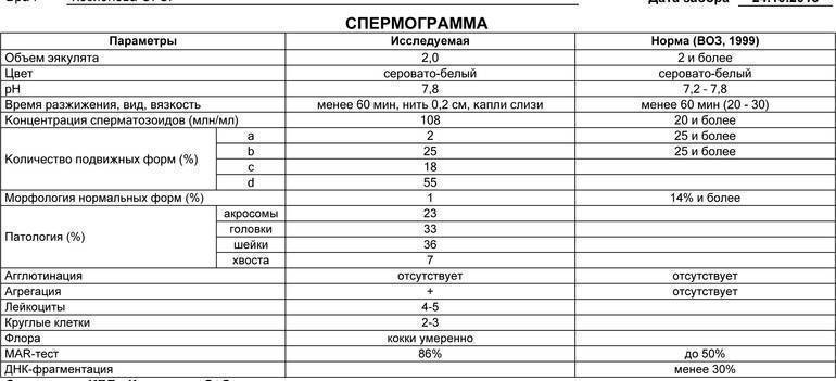 Как алкоголь влияет на сперму, а так же на спермограмму