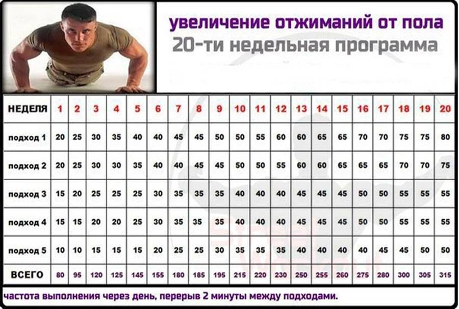 Как научить ребенка отжиматься: простые упражнения, порядок действий и регулярность занятий