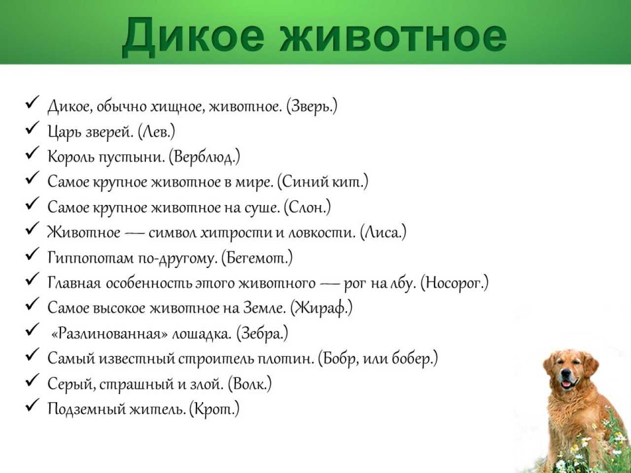 Викторина на тему «животные» с ответами для 4 класса