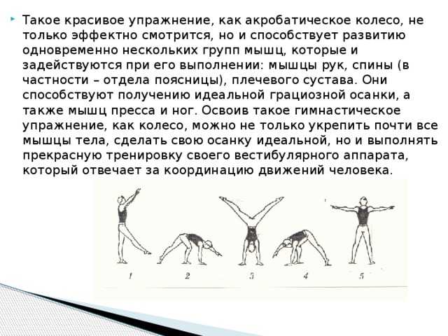 Как научиться делать колесо в домашних условиях: пошаговая инструкция