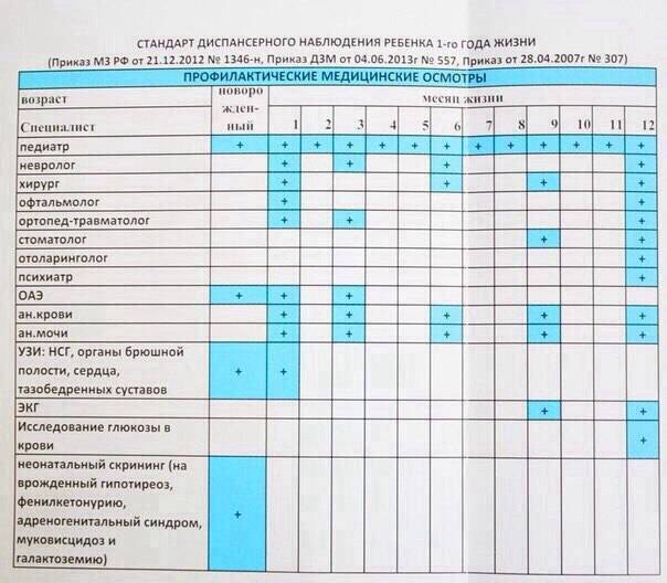 Каких врачей проходят в 1 год: 6 обязательных специалистов, необходимые анализы