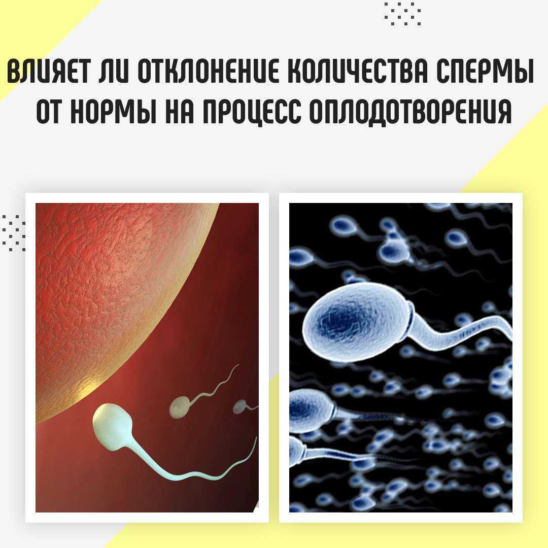 влияние на организм женский мужской спермы фото 39