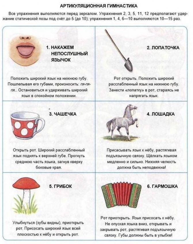 Постановка и автоматизация звука ш в слогах, словах, предложениях, артикуляционная гимнастика, конспекты занятий, логопедиечские тетради