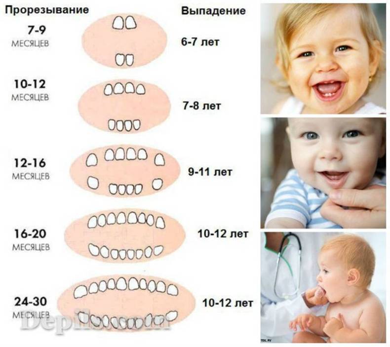 У ребенка в год нет ни одного зуба