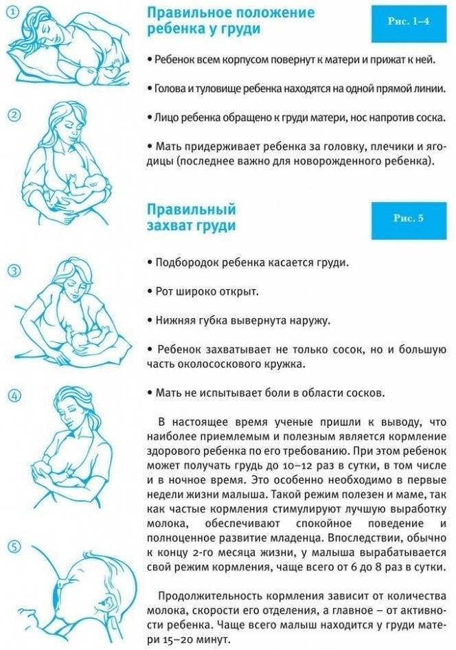 Как правильно кормить ребенка грудью | статьи - similac