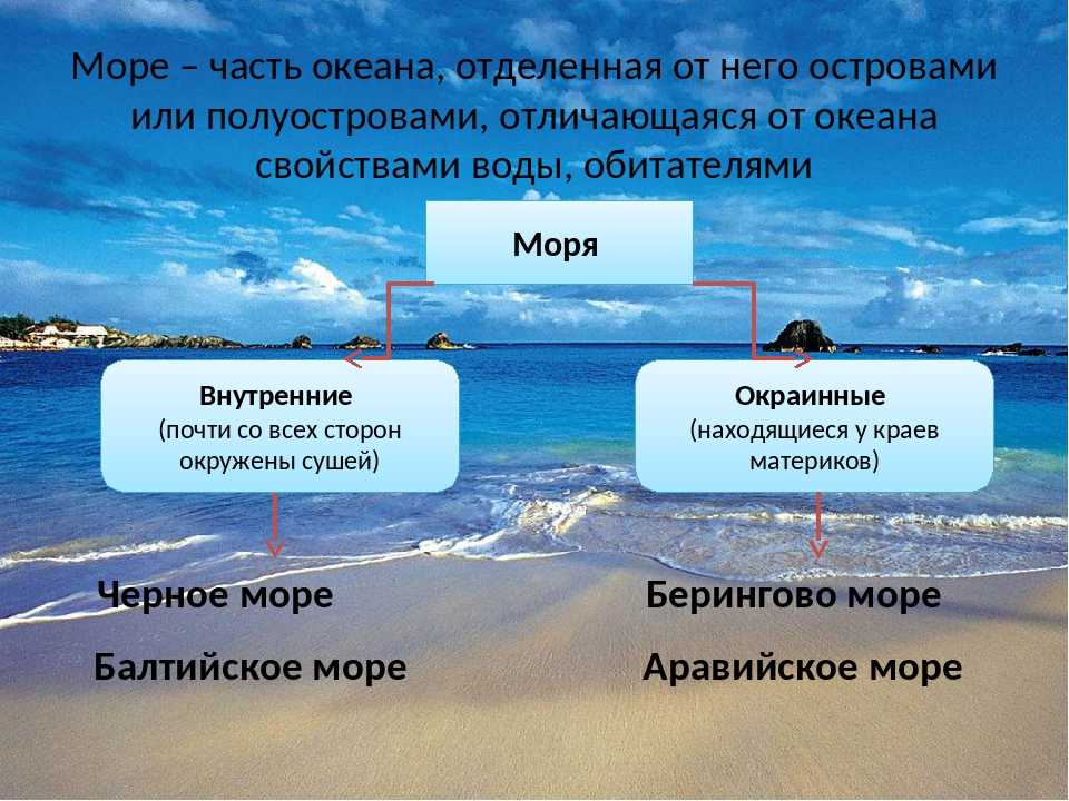 Чем отличается море от океана: площадь, соленость, качество дна, флора и фауна, система течений