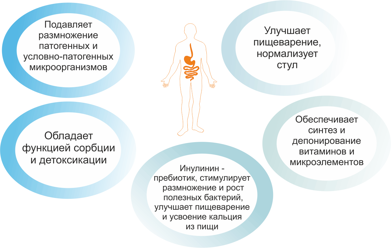 Сколько можно пить пробиотики. Пробиотики пребиотики синбиотики. Монокомпонентные пробиотики. Роль пробиотиков в организме человека. Польза пробиотиков и пребиотиков.