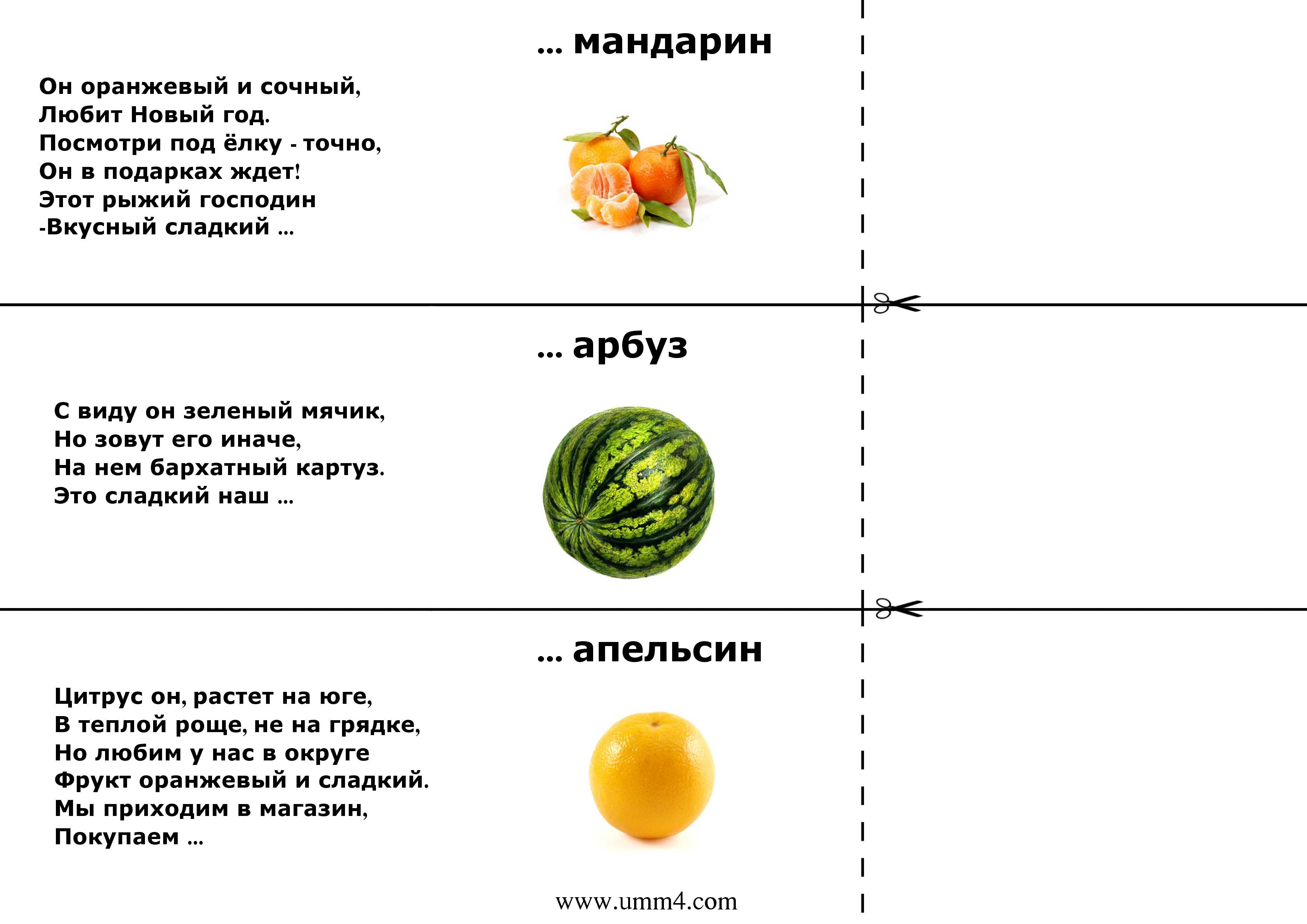 Самые интересные загадки для детей 5 лет (с ответами) | здесь позитив