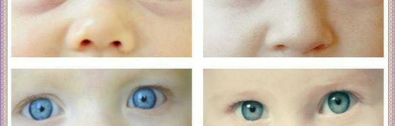 Когда меняется цвет глаз у новорожденных? таблица определения цвета глаз