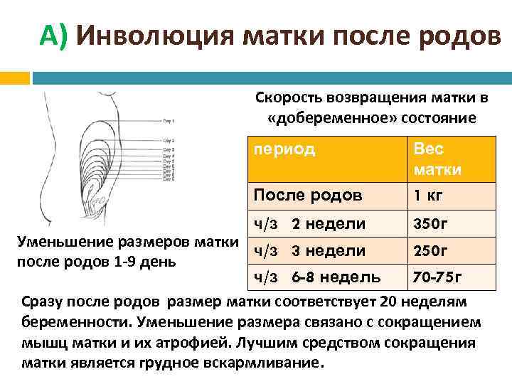 Выделения после кесарева: сколько идут, как выглядят и когда нужно обращаться к врачу