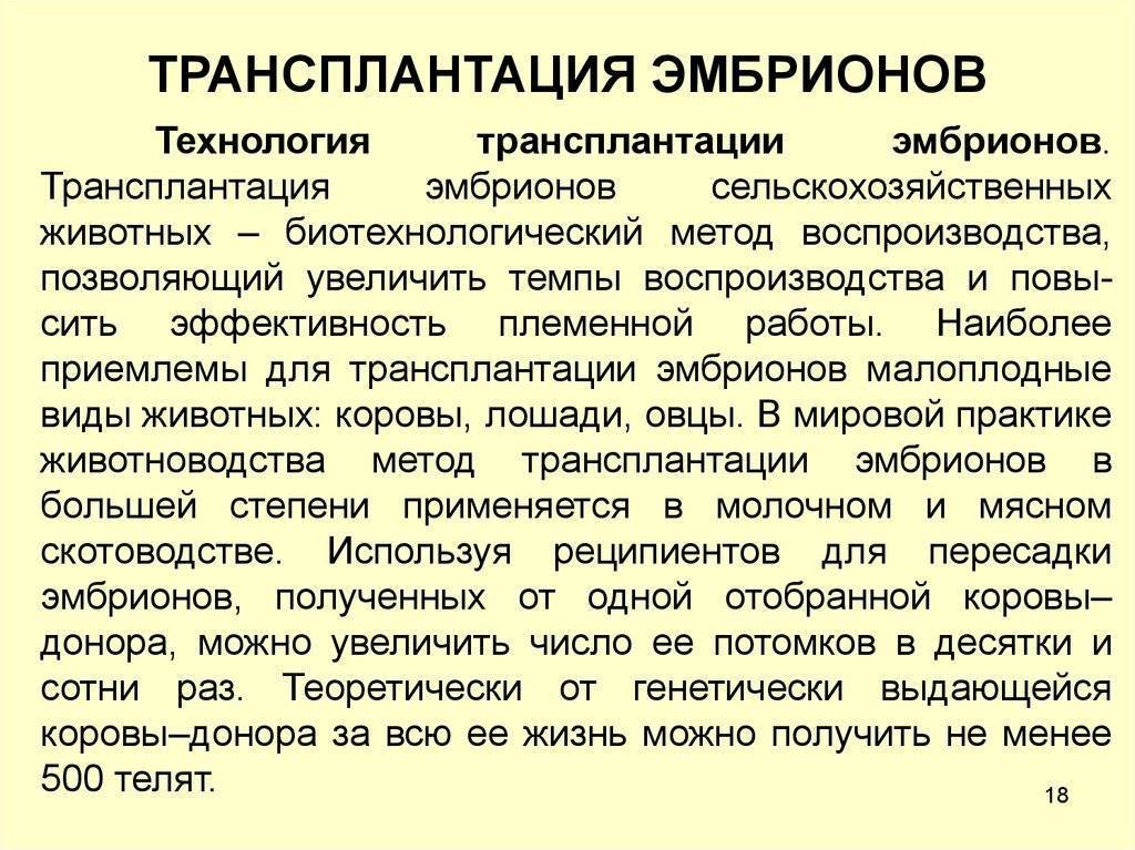 Что такое хетчинг и для какой цели проводится вспомогательный хетчинг в процедуре эко?