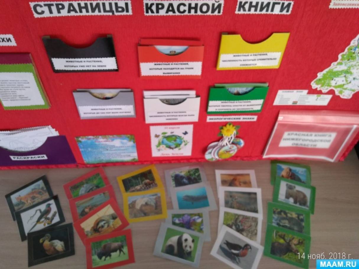 Лэпбук своими руками: 10 интересных идей, как сделать (фото и видео)