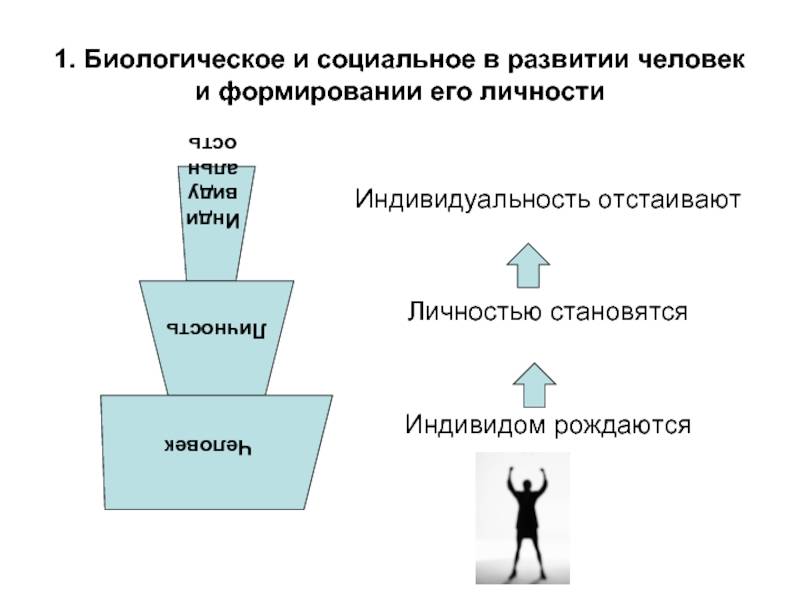 Что такое социальное развитие человека